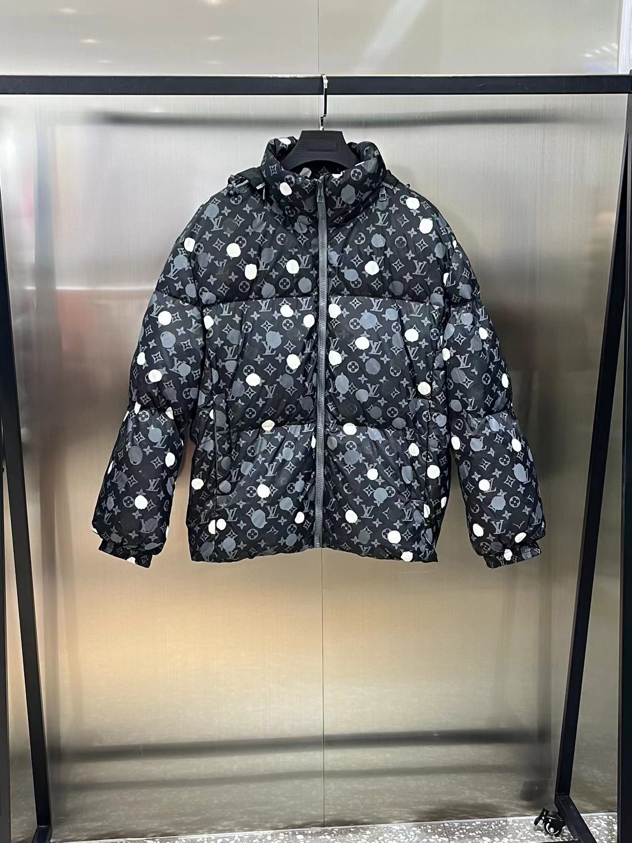 Louis Vuitton Down Jackets